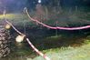 100_0023.jpg